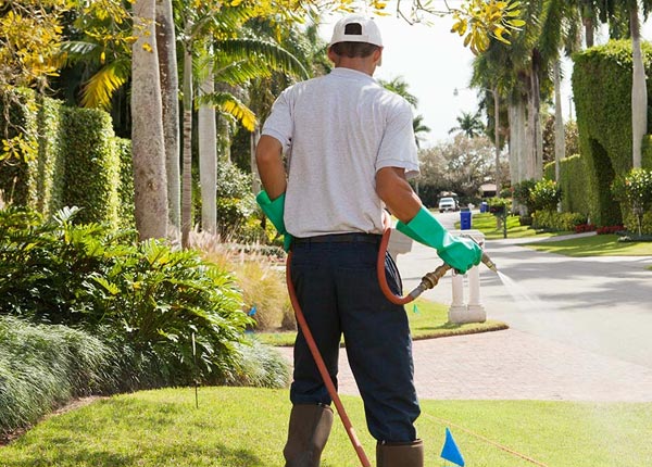 About Kings Park NY Pest Control Pros